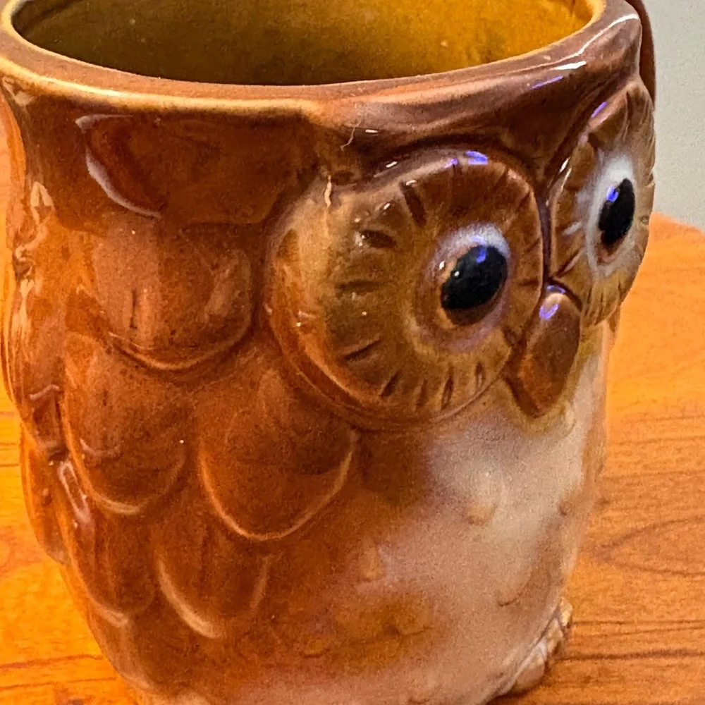 Owl Coffee Mug Ceramic Novelty Mug
